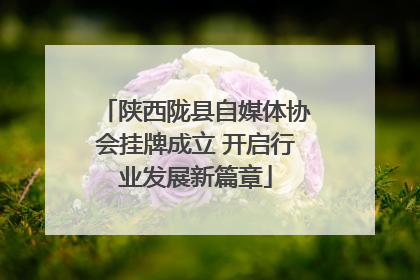 陕西陇县自媒体协会挂牌成立 开启行业发展新篇章